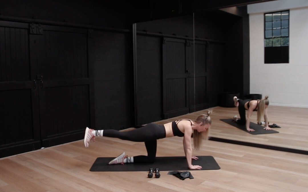 pFIT Core .23