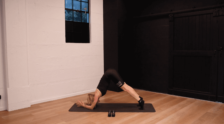 pFIT Core .32